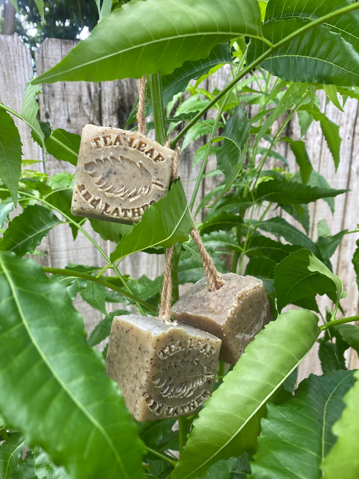 Neem soap