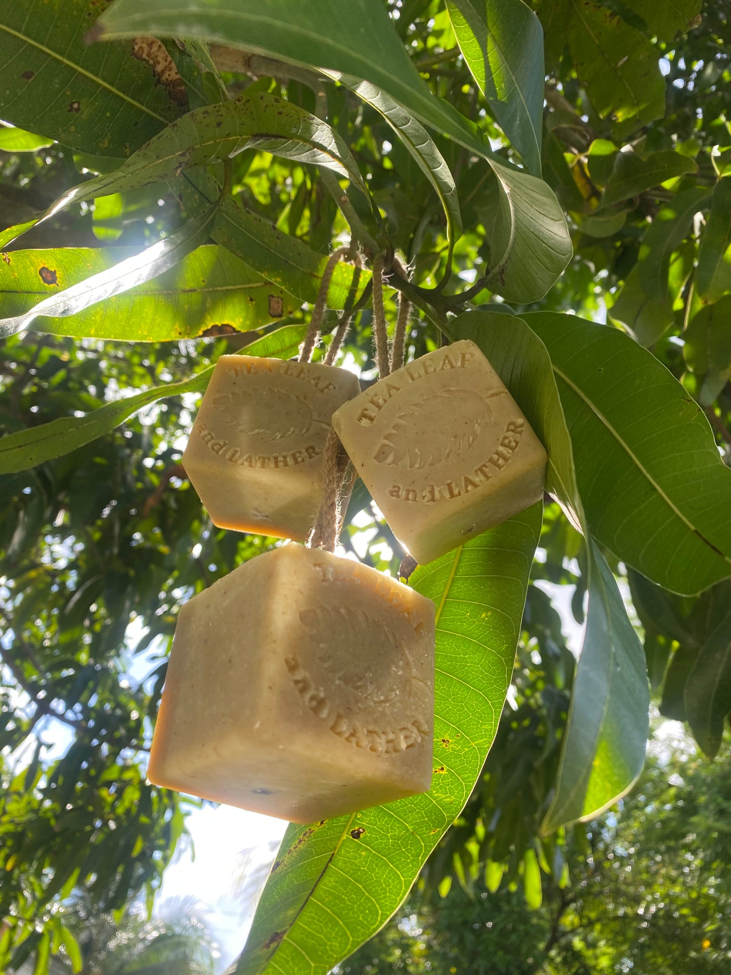 Mango soap